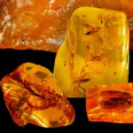 Лев камни талисманы